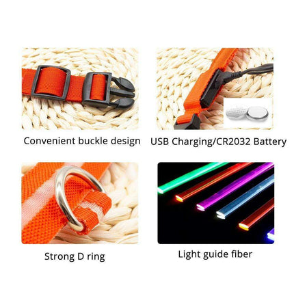 Illuminate & Protect: Rechargeable Waterproof LED Dog Collar for Enhanced Nighttime Safety - Très Elite