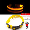 Yellow ButtonBattery / XS  NECK 28-38 CM