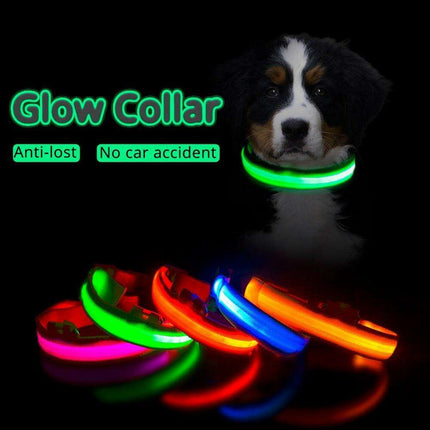 Illuminate & Protect: Rechargeable Waterproof LED Dog Collar for Enhanced Nighttime Safety - Très Elite