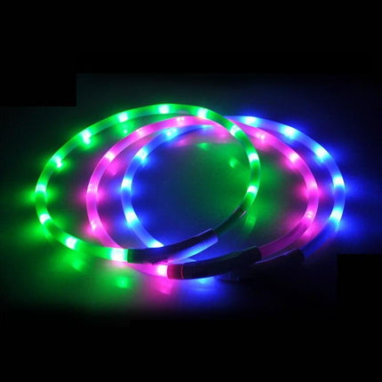 Illuminated USB Rechargeable Dog Collar for Optimal Night Safety and Visibility - Très Elite