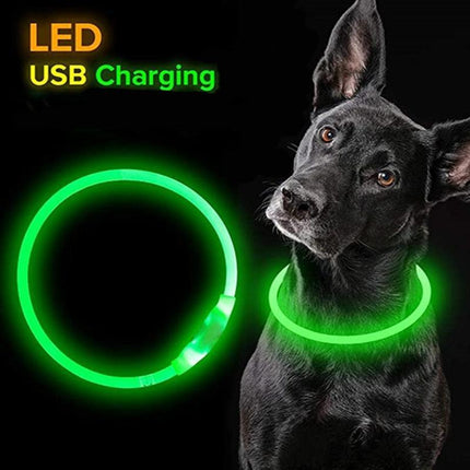 Illuminated USB Rechargeable Dog Collar for Optimal Night Safety and Visibility - Très Elite