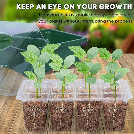 Innovative Seedling Cultivation Kit: 12-Cell Growth Tray for Superior Plant Nurturing - Très Elite