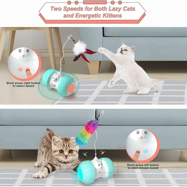 Interactive LED Cat Toy with Feathers and Squeaking Mouse
