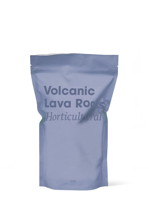 Lava Rock Plant Care Kit for Stylish Greenery