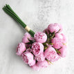Dark  Pink