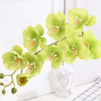 green orchid