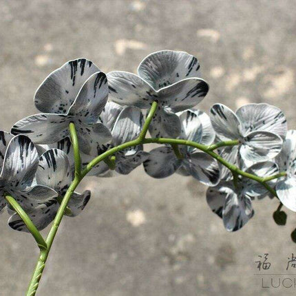 Lifelike Premium Latex Foam Moth Orchid Stem with 9 Beautiful Blossoms - Très Elite