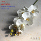 type B White