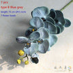 type B Blue gray