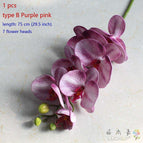 type B Purple pink
