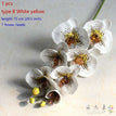 type B White yellow