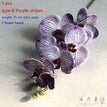 type B Purple stripe