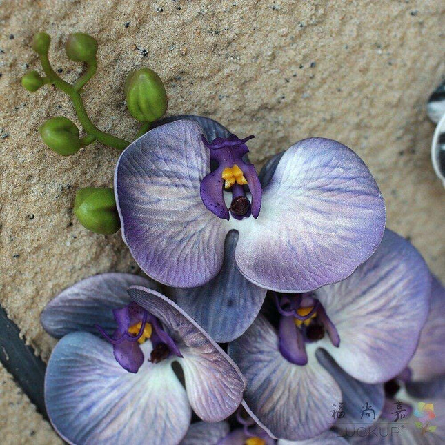 Lifelike Premium Latex Foam Moth Orchid Stem with 9 Beautiful Blossoms - Très Elite