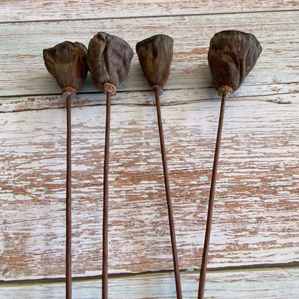 Lotus Seedpod Decorative Bouquet with Elegant Wire Stems - Très Elite
