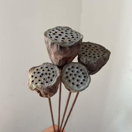 Lotus Seedpod Decorative Bouquet with Elegant Wire Stems - Très Elite