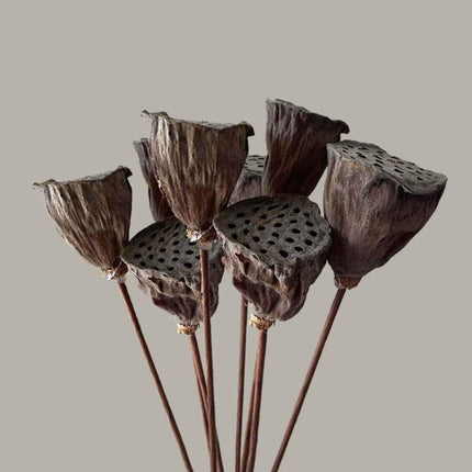 Lotus Seedpod Decorative Bouquet with Elegant Wire Stems - Très Elite
