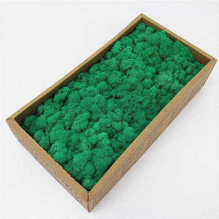 Lush Green Moss Wall Art: Nature's Timeless Beauty