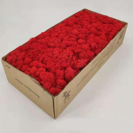 Lush Green Moss Wall Art: Nature's Timeless Beauty