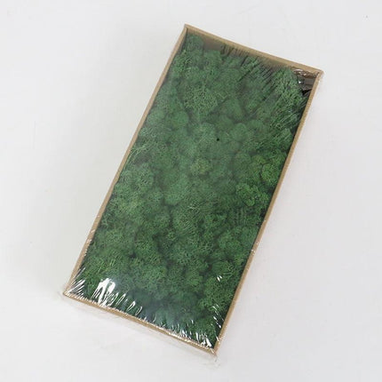 Lush Green Moss Wall Art: Nature's Timeless Beauty