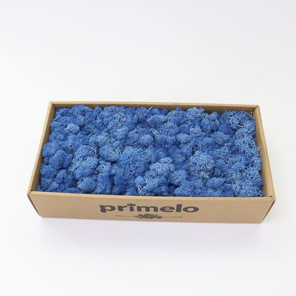 Lush Green Moss Wall Art: Nature's Timeless Beauty