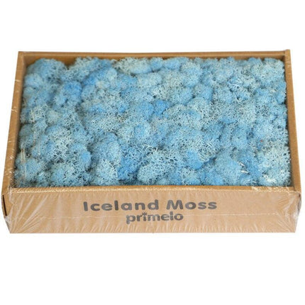 Lush Green Moss Wall Art: Nature's Timeless Beauty