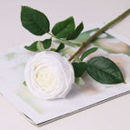 5Pcs White Roses
