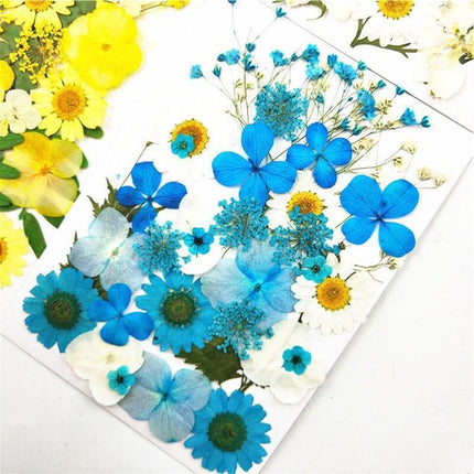 Luxurious Pressed Floral Collection: Aesthetic Inspirations for Creative Projects - Très Elite