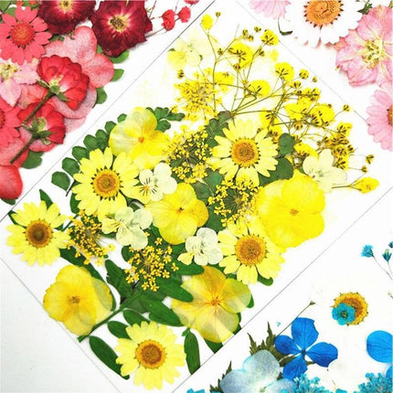 Luxurious Pressed Floral Collection: Aesthetic Inspirations for Creative Projects - Très Elite