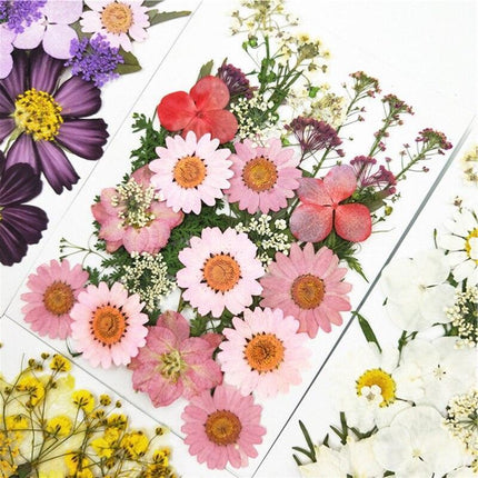 Luxurious Pressed Floral Collection: Aesthetic Inspirations for Creative Projects - Très Elite