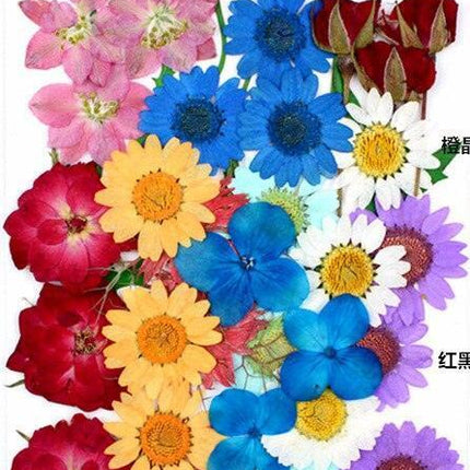 Luxurious Pressed Floral Collection: Aesthetic Inspirations for Creative Projects - Très Elite