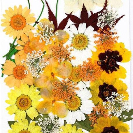 Luxurious Pressed Floral Collection: Aesthetic Inspirations for Creative Projects - Très Elite