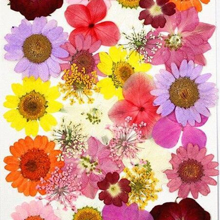 Luxurious Pressed Floral Collection: Aesthetic Inspirations for Creative Projects - Très Elite