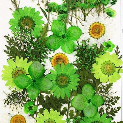 Luxurious Pressed Floral Collection: Aesthetic Inspirations for Creative Projects - Très Elite