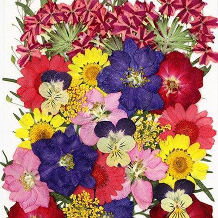Luxurious Pressed Floral Collection: Aesthetic Inspirations for Creative Projects - Très Elite
