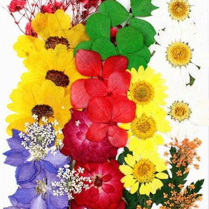 Luxurious Pressed Floral Collection: Aesthetic Inspirations for Creative Projects - Très Elite