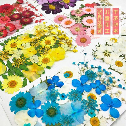 Luxurious Pressed Floral Collection: Aesthetic Inspirations for Creative Projects - Très Elite