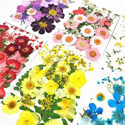 Luxurious Pressed Floral Collection: Aesthetic Inspirations for Creative Projects - Très Elite