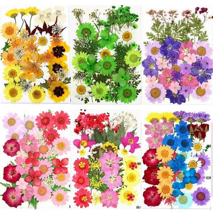 Luxurious Pressed Floral Collection: Aesthetic Inspirations for Creative Projects - Très Elite