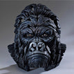Orangutan