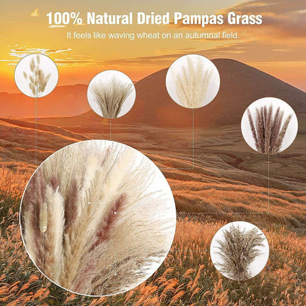 Natural Dried Pampas Grass Bouquet Collection - 75 Stems - Très Elite