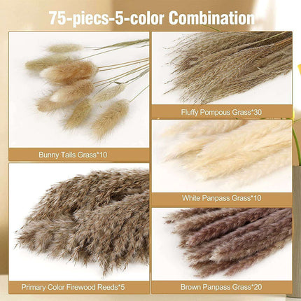 Natural Dried Pampas Grass Bouquet Collection - 75 Stems - Très Elite