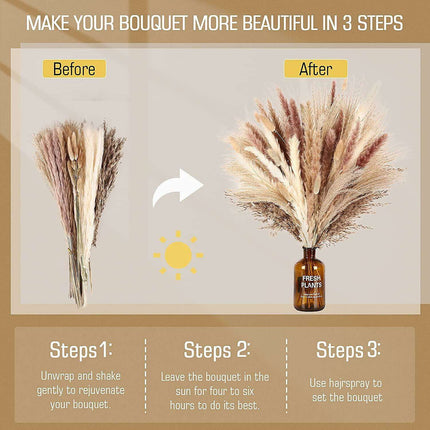 Natural Dried Pampas Grass Bouquet Collection - 75 Stems - Très Elite