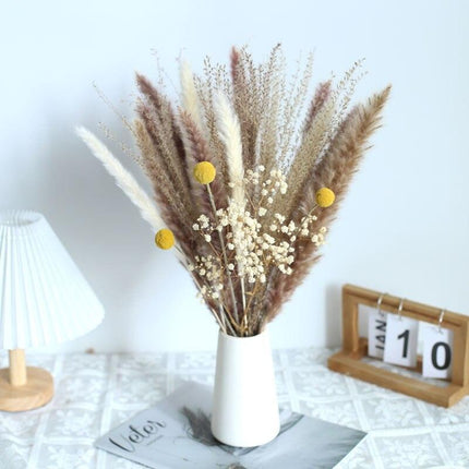 Natural Dried Rabbit Tail Pampas Grass Decorative Bundle - 80 Stems - Très Elite