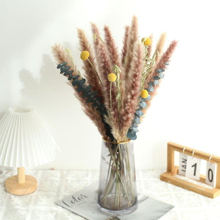 Natural Dried Rabbit Tail Pampas Grass Decorative Bundle - 80 Stems - Très Elite