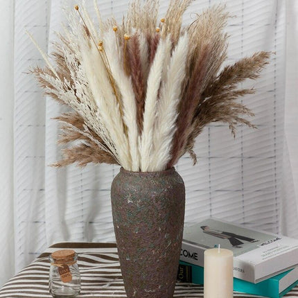 Natural Dried Rabbit Tail Pampas Grass Decorative Bundle - 80 Stems - Très Elite