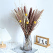 no vase A08