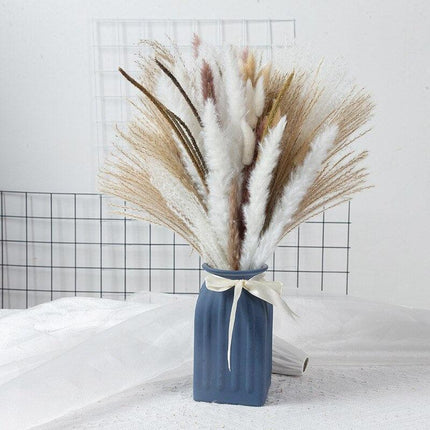 Natural Dried Rabbit Tail Pampas Grass Decorative Bundle - 80 Stems - Très Elite