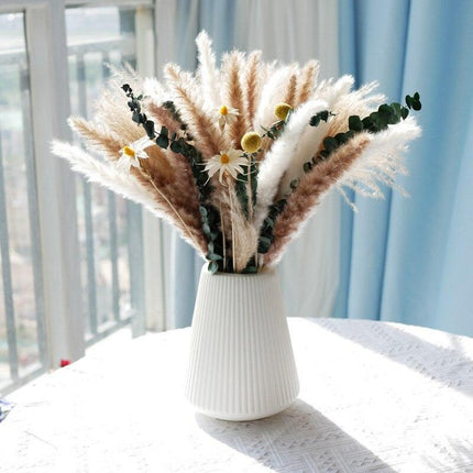 Natural Dried Rabbit Tail Pampas Grass Decorative Bundle - 80 Stems - Très Elite