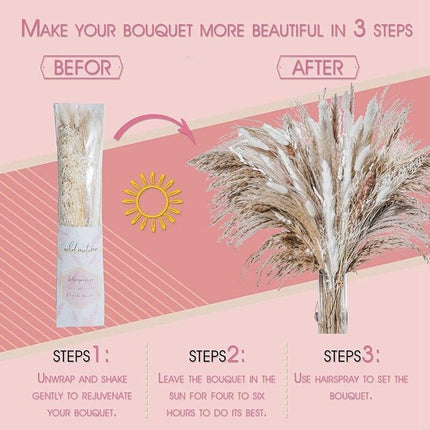 Natural Dried Rabbit Tail Pampas Grass Decorative Bundle - 80 Stems - Très Elite