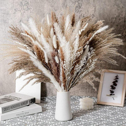 Natural Dried Rabbit Tail Pampas Grass Decorative Bundle - 80 Stems - Très Elite